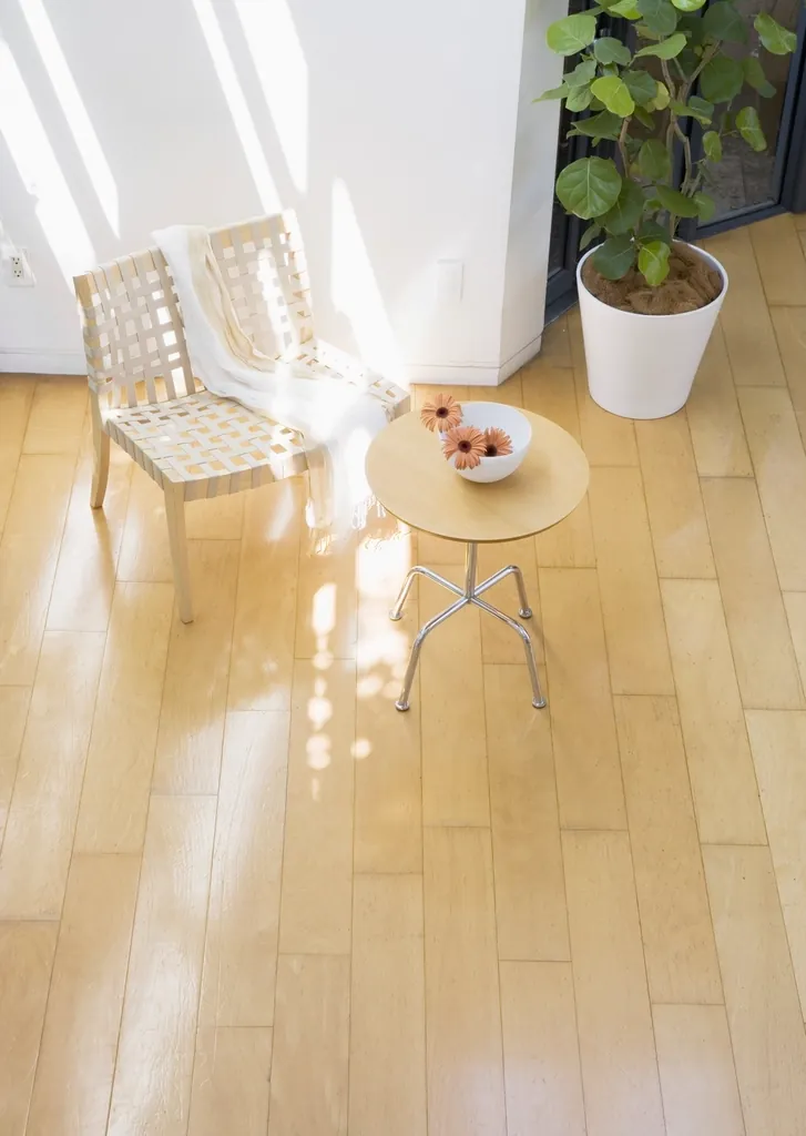 Salón luminoso y ordenado de una vivienda tras la limpieza
